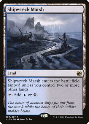 Shipwreck Marsh<br /><span class="collector-number">Collector No. 267</span>