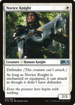 Novice Knight<br /><span class="collector-number">Collector No. 30</span>