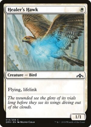Healer's Hawk<br /><span class="collector-number">Collector No. 14</span>