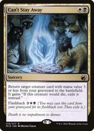 Can't Stay Away<br /><span class="collector-number">Collector No. 213</span>