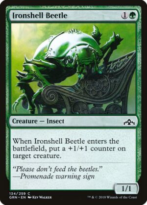 Ironshell Beetle<br /><span class="collector-number">Collector No. 134</span>