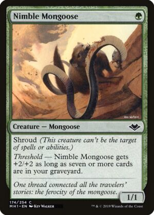 Nimble Mongoose<br /><span class="collector-number">Collector No. 174</span>