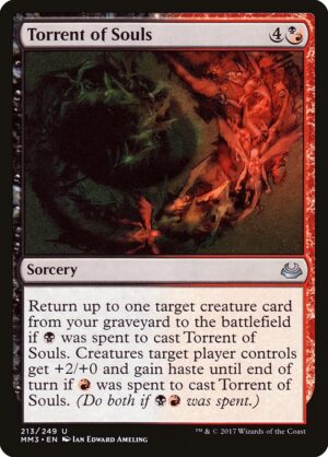 Torrent of Souls<br /><span class="collector-number">Collector No. 213</span>