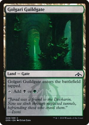 Golgari Guildgate - Foil<br /><span class="collector-number">Collector No. 249</span>